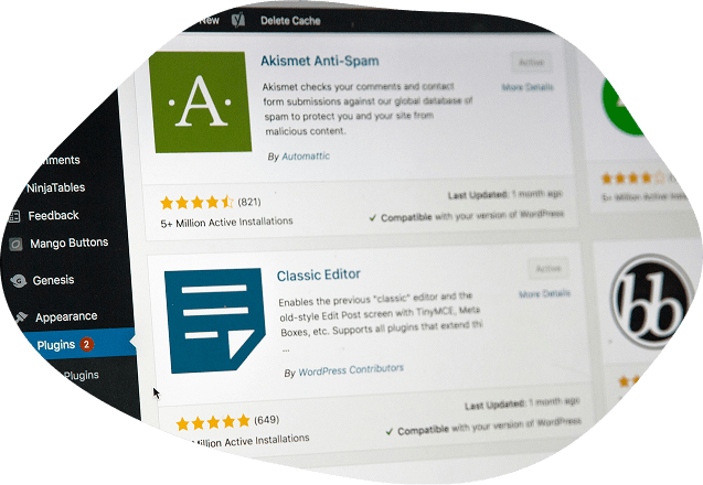 <h2>Razvoj <span class="transparent-stroke">WordPress vmesnikov</span> po meri</h2>
